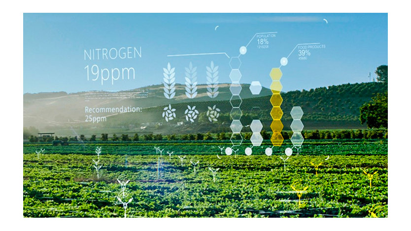 A sunny agricultural field has scientific information and charts overlaid.